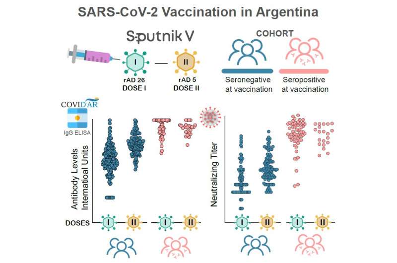 Eén injectie met het Spoetnik V-vaccin veroorzaakt sterke antilichaamreacties