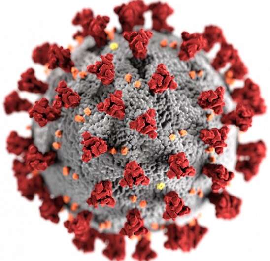 virus corona (COVID-19