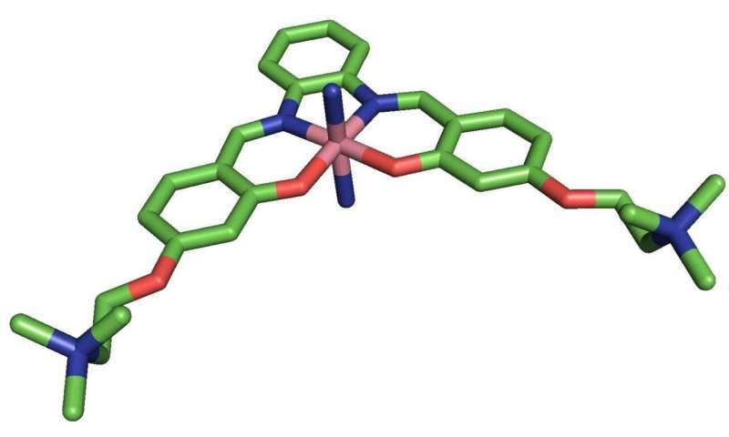 Uz metāla bāzes molekulas parāda solījumu pret Alcheimera peptīdu uzkrāšanos