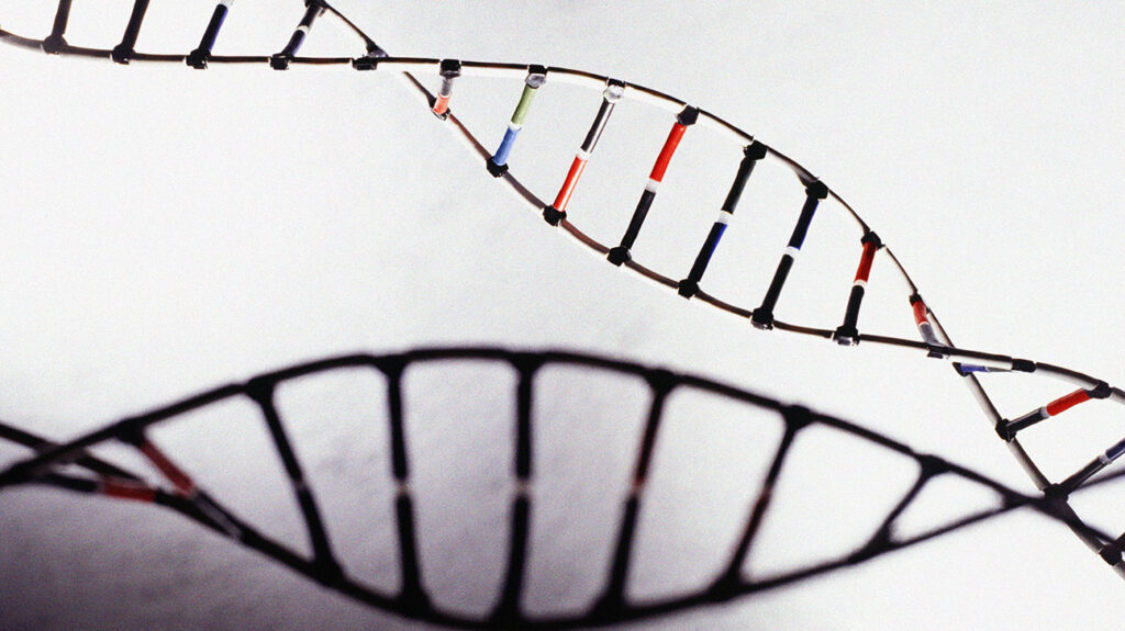 Ilustrace modelu DNA