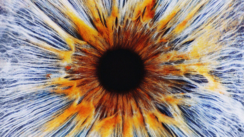 Ein mikroskopisches Bild der Pupille