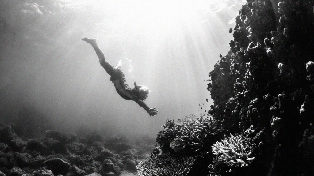 Seorang anak menyelam di bawah air dengan topeng dan snorkeling di dekat terumbu karang